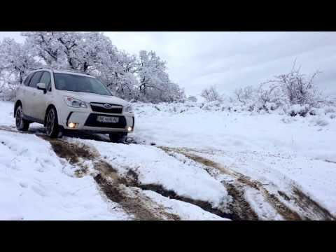 Видео: Тест драйв Off road Subaru Forester 2013-2014