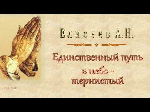 Видео: Елисеев А.Н. "Единственный путь в небо - тернистый" - МСЦ ЕХБ