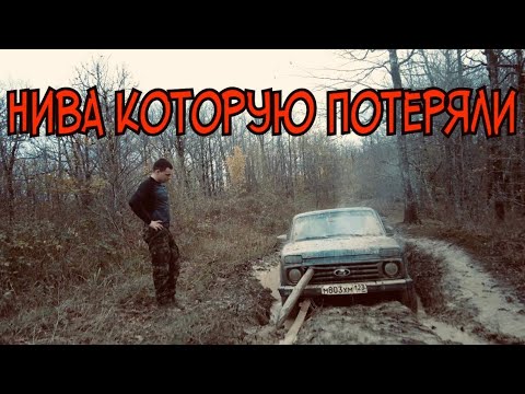 Видео: Поиски пропавшей в лесу нивы и ее эвакуация.