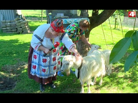 Видео: Надежда на село. Кашубинцы. 15.07.2019