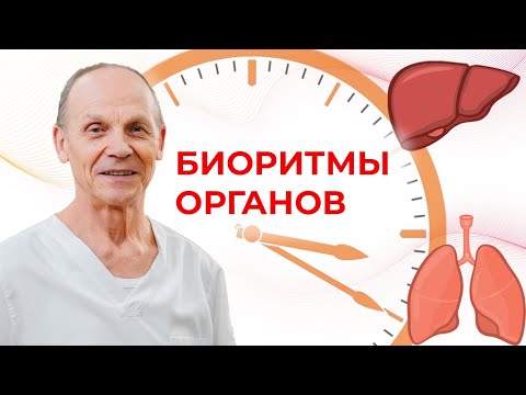 Видео: АКТИВНОСТЬ ОРГАНОВ ПО ЧАСАМ | Суточные биоритмы внутренних органов | Огулов А.Т.