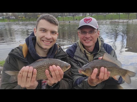 Видео: С такими карасями Дядя Фёдор может потерять оператора!!! Фидер рулит!!!