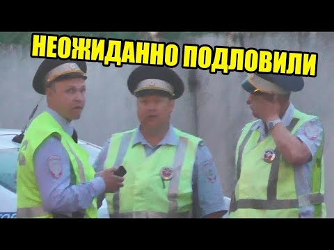 Видео: ГАИШНИКИ НЕ ОЖИДАЛИ ТАКОЙ ВСТРЕЧИ | ПРОВЕРЯЛИ ВСЮ ОБЛАСТЬ
