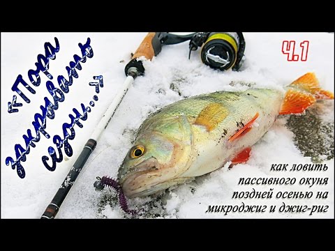 Видео: Пора закрывать сезон... Ч.1 | Как ловить пассивного окуня поздней осенью на микроджиг и джиг-риг