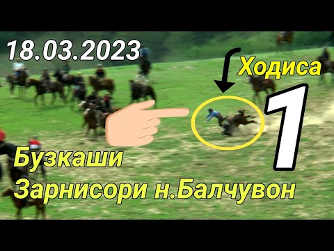 Видео: Бузкаши дар н Балчувон д Зарнисор Кисми 1. 18.03.2023