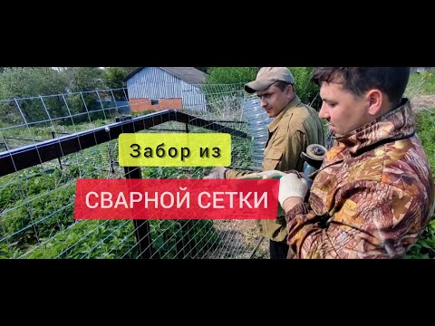 Видео: Монтаж забора из СВАРНОЙ СЕТКИ