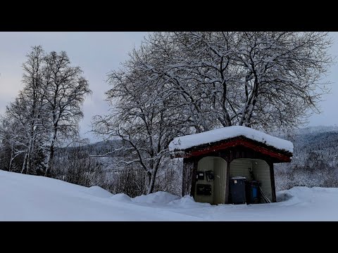 Видео: как меня не взяли уборщицей работать. один день продавца моей жизни. 5.01.2025 Трофорс Норвегия