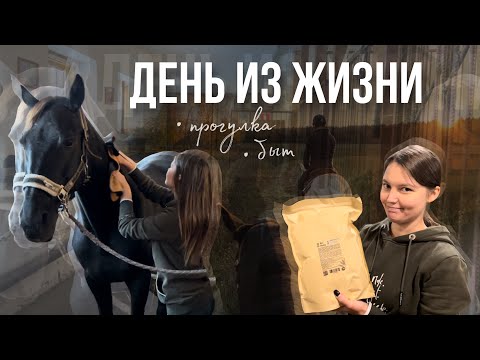 Видео: День из жизни на конюшне | Пробуем новые мюсли