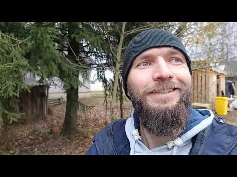 Видео: Когда остановится цифровая машина?