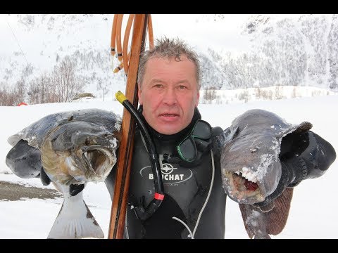 Видео: РЫБАЛКА И ПОДВОДНАЯ ОХОТА В НОРВЕГИИ.Wild Fishing Norway