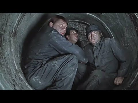 Видео: Закатал себя целиком в бетон [Veritasium]