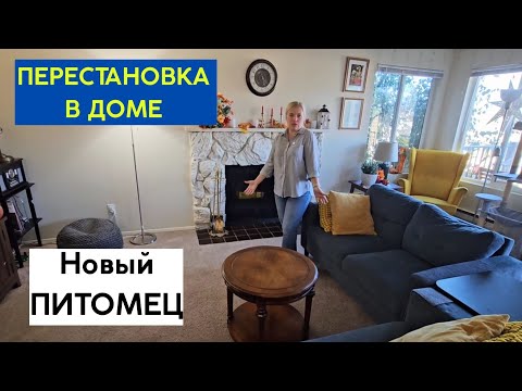 Видео: Сделали перестановку дома. Наш новый питомец.