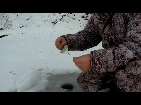 Видео: Пробую снасть вертолет на малой реке. Если бы не он, то ушел бы с нулем.