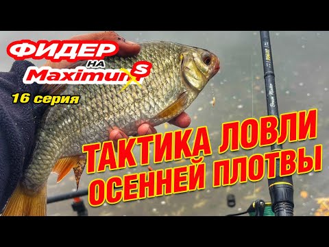Видео: Фидер на Максимум! Серия 16. Тактика ловли осенней плотвы на фидер