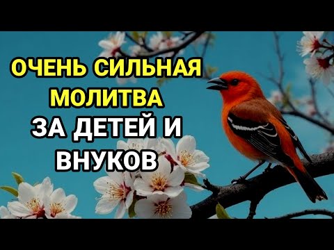 Видео: МОЩНАЯ МОЛИТВА ЗА ДЕТЕЙ И ВНУКОВ СОХРАНИ ЭТУ МОЛИТВУ И ЧИТАЙ КАЖДЫЙ ДЕНЬ УТРОМ И ВЕЧЕРОМ 🤲✨💯