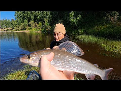 Видео: Рыбалка с Корейцем  Таёжный быт и острая еда