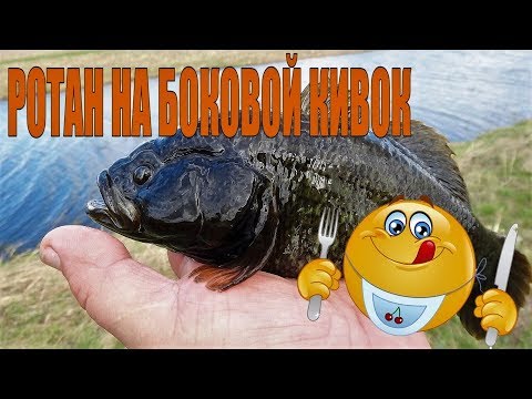 Видео: Осенний ротан на удочку с боковым кивком .