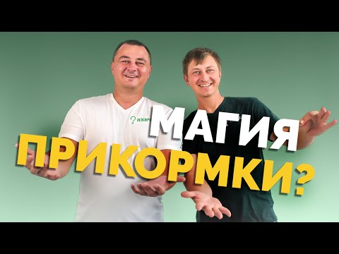 Видео: ⚠️ПРИКОРМКА⚠️ Рушим мифы! Что и зачем❓Фидер, ароматика, фракция, цвет, земля, глина❗️ Первый подкаст