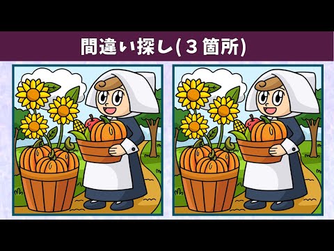 Видео: Найдите 3 отличия | Иллюстрация Версия #1044