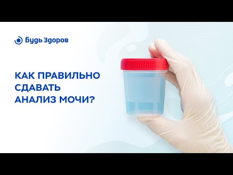 Видео: Как собирать мочу на анализ правильно?