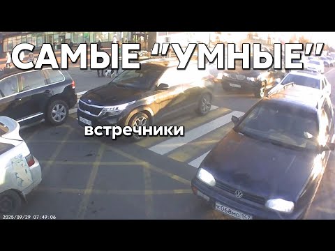 Видео: Подборка САМЫХ "УМНЫХ" водителей #1179