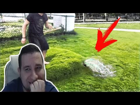 Видео: МАНУРИН СМОТРИТ: ВЕЩИ, КОТОРЫЕ ВЫ УВИДИТЕ ВПЕРВЫЕ В ЖИЗНИ!