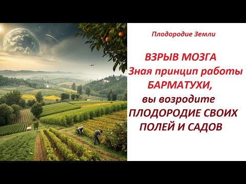 Видео: 🔥Преимущества БАРМАТУХИ над всеми вместе взятыми технологиями возрождения Земли в мире №673/24