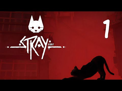 Видео: Stray - Внутри стен, Мёртвый город - Прохождение игры на русском [#1] | PC