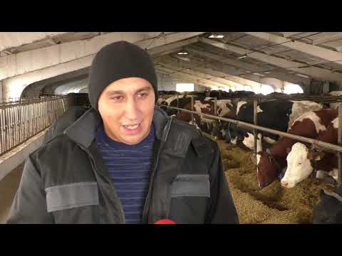 Видео: АГРОКО 19,12,2018