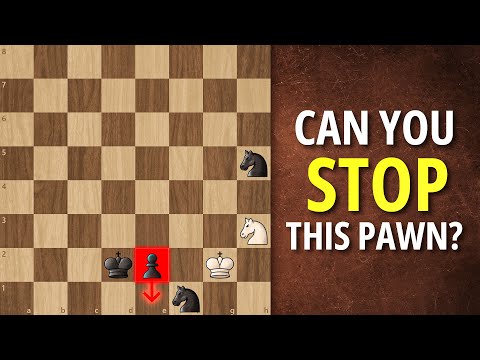 Видео: Самый красивый из когда-либо созданных этюдов рыцаря — «Чудо-рисунок» Гербстмана и Куббеля (1934)