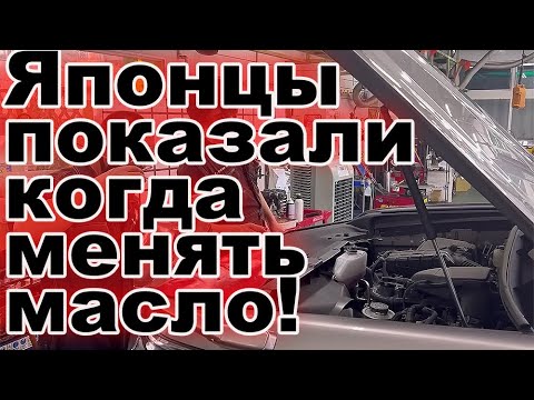 Видео: Японец рассказал, как часто нужно менять масло в моторе: почему японцы меняют его в 3 раза чаще нас?