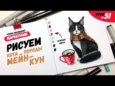 Видео: Как нарисовать кота породы мейн-кун? / Видео-урок по рисованию маркерами для новичков #51