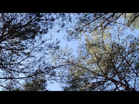Видео: Первый выезд с ночёвкой на природу 2025.