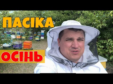 Видео: 🔴 Готую бджіл до зими! Кліщ атакує! Осінь на пасіці 2025 🐝
