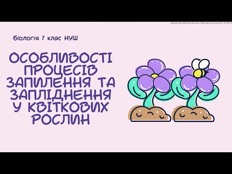 Видео: Біологія 7 клас НУШ Особливості процесів запилення та запліднення у квіткових рослин