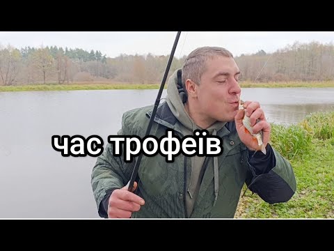 Видео: осіння плотва. ТРОФЕЙНА ПЛОТВА НА ПІВ КІЛО