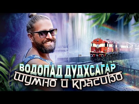 Видео: Индия Гоа. Водопад Дудхсагар! самый высокий водопад индии