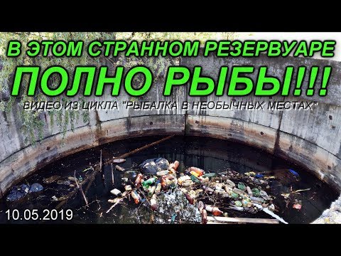 Видео: В ЭТОМ СТРАННОМ РЕЗЕРВУАРЕ ПОЛНО РЫБЫ!!! видео из цикла "Рыбалка в необычных местах" 10/05/2019