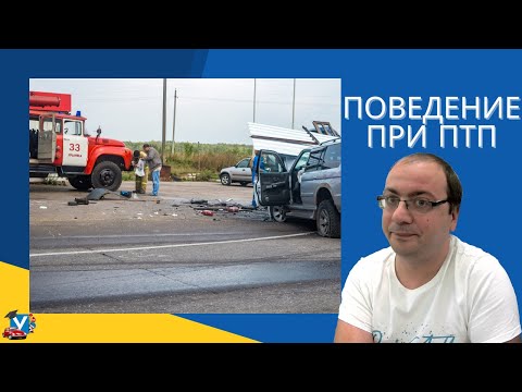 Видео: Поведение при ПТП