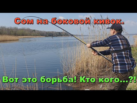 Видео: Сом на боковой кивок. Первая встреча с сомом в этом году