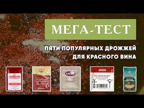 Видео: Мега-тест 5 популярных винных дрожжей для красного вина. Часть 1