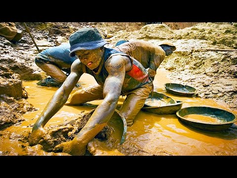 Видео: Как Добывают Золото в Африке. Укус Мухи ЦеЦе