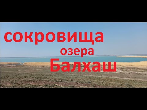 Видео: Путешествие на озеро Балхаш. Поиск монет и знакомство с природой Прибалхашья.