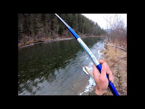 Видео: Р БЕЛЫЙ ИЮС В ПОИСКАХ ХАРИУСА  БРАКОНЬЕРЫ ВСЕ ВЫЛОВИЛИ!!! ЗАЛОВИЛ КАБАНЧИКА!