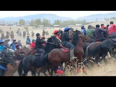 Видео: Рахманов Рысбек агайдын уулдарына арналган улактуу сүннөт тойу...