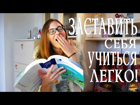 Видео: Как ЗАСТАВИТЬ себя УЧИТЬСЯ l БЕЗ СИЛЫ ВОЛИ