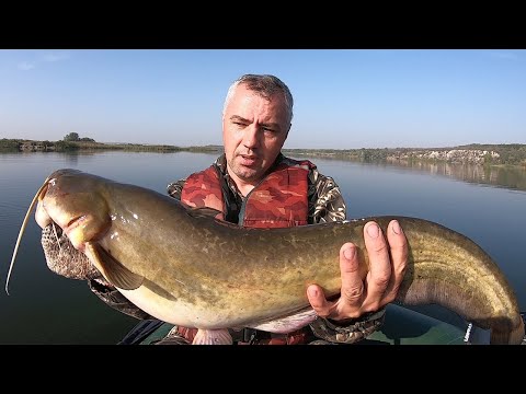 Видео: Ловля сома на квок. Октябрь