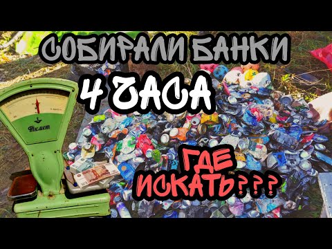 Видео: Сбор Алюминиевых банок. прогулка по серпантину.