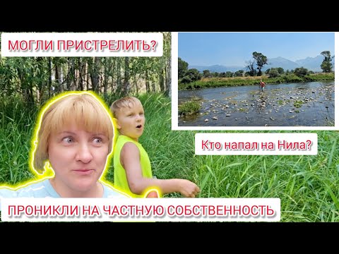 Видео: Могли и пристрелить. Кто напал на Нила?