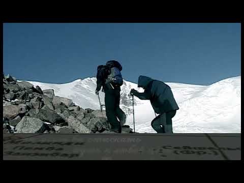 Видео: Дикий карп и домашний сазан. Фильм Сергея Герасимова.